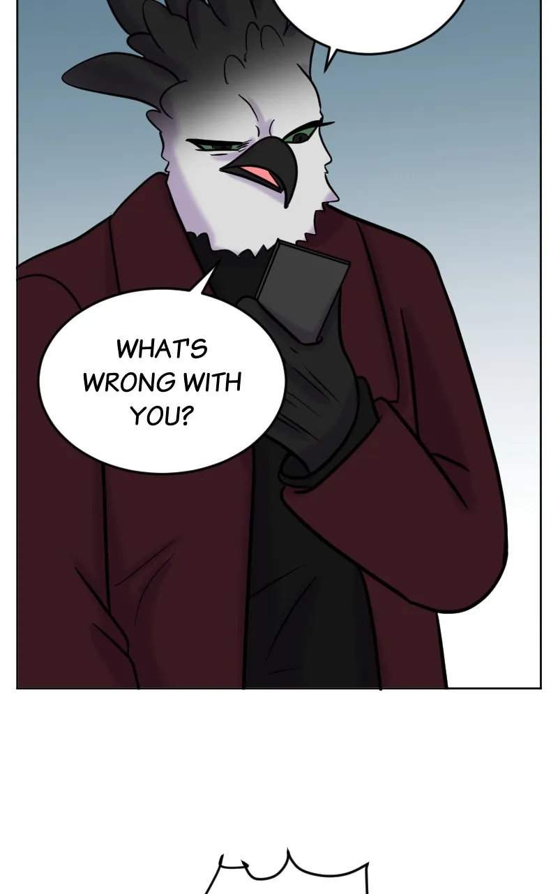 DON'T HATE Chapter 52 page 14 - 