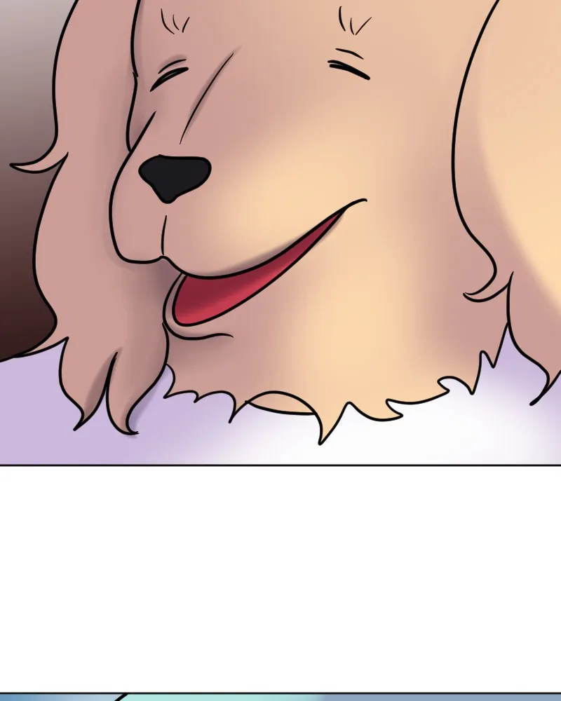 DON'T HATE Chapter 91 page 86 - 