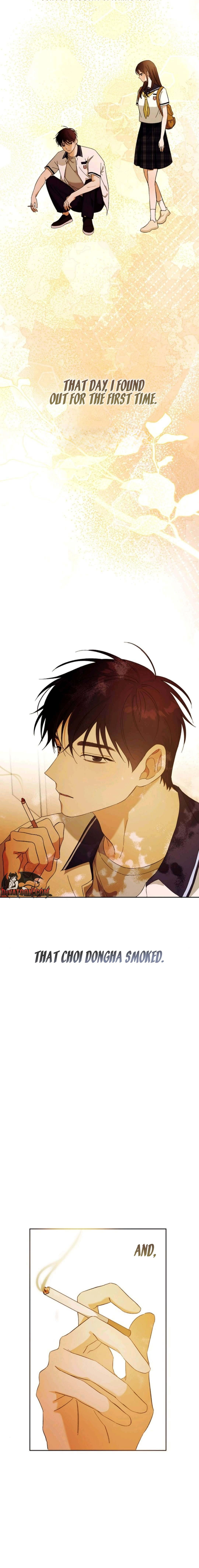 Dongha's Circumstances Chapter 3 page 19 - 