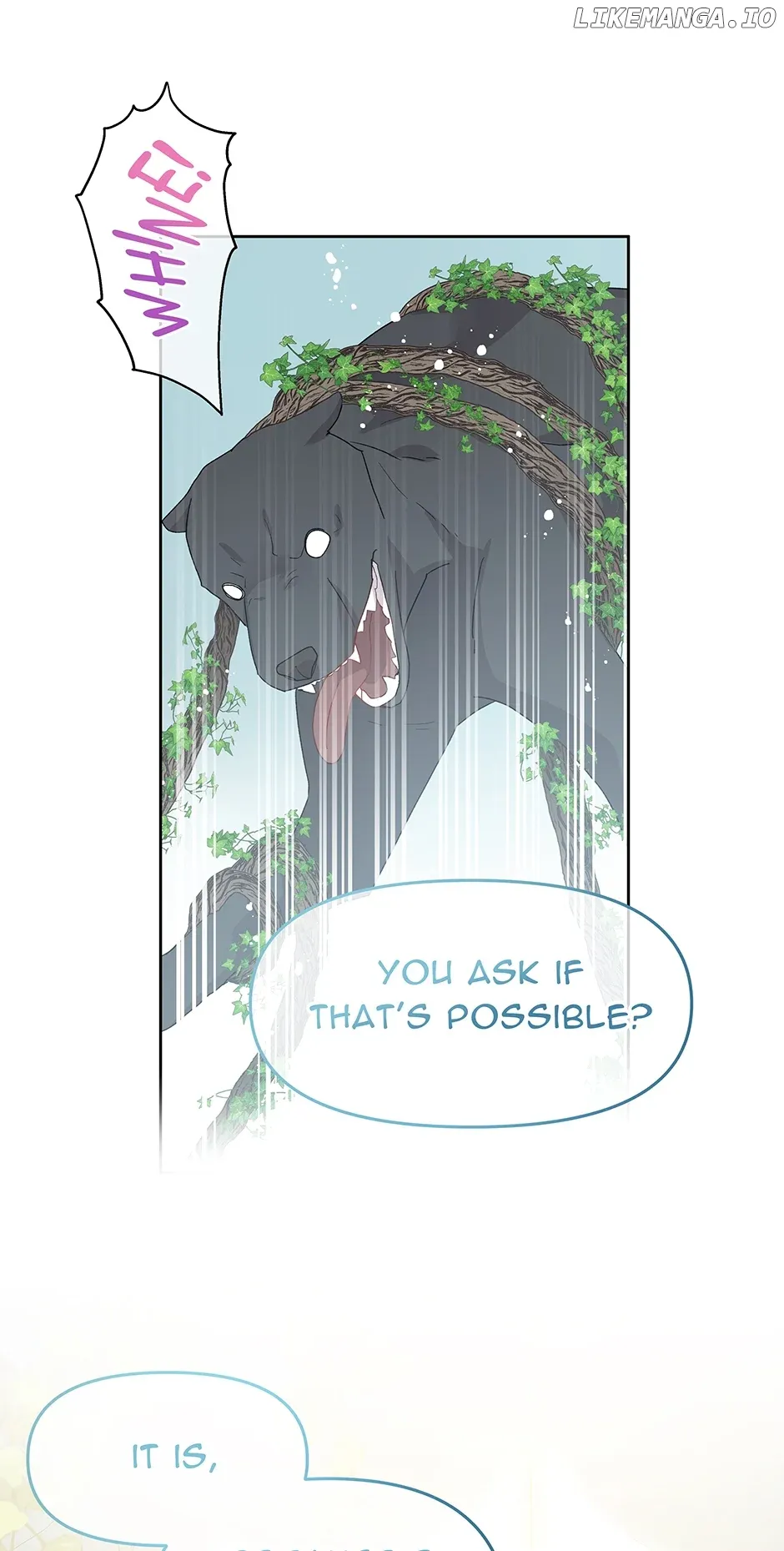Don’T Concern Yourself With That Book Chapter 41 page 35 - 