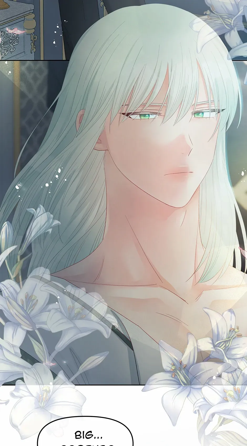 Don’T Concern Yourself With That Book Chapter 51 page 28 - 