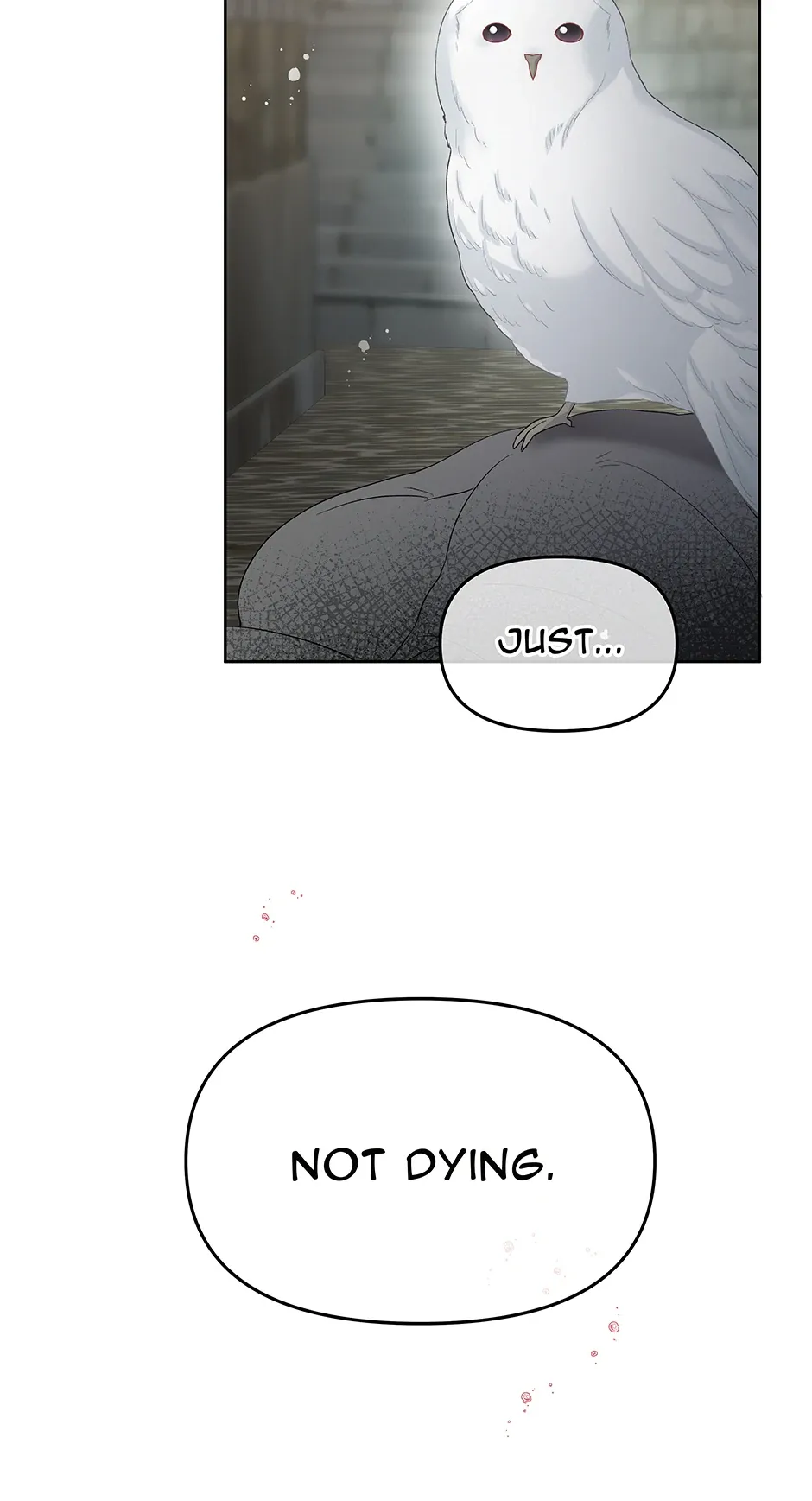 Don’T Concern Yourself With That Book Chapter 70 page 49 - 