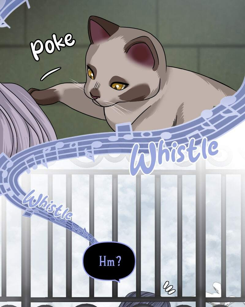 Don't Enter the House Pool Chapter 32 page 66 - 