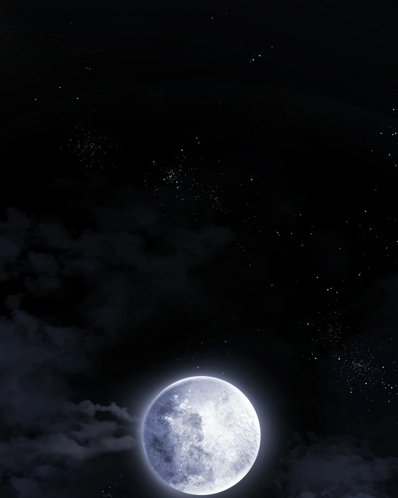 Don't Enter the House Pool Chapter 8 page 84 - 