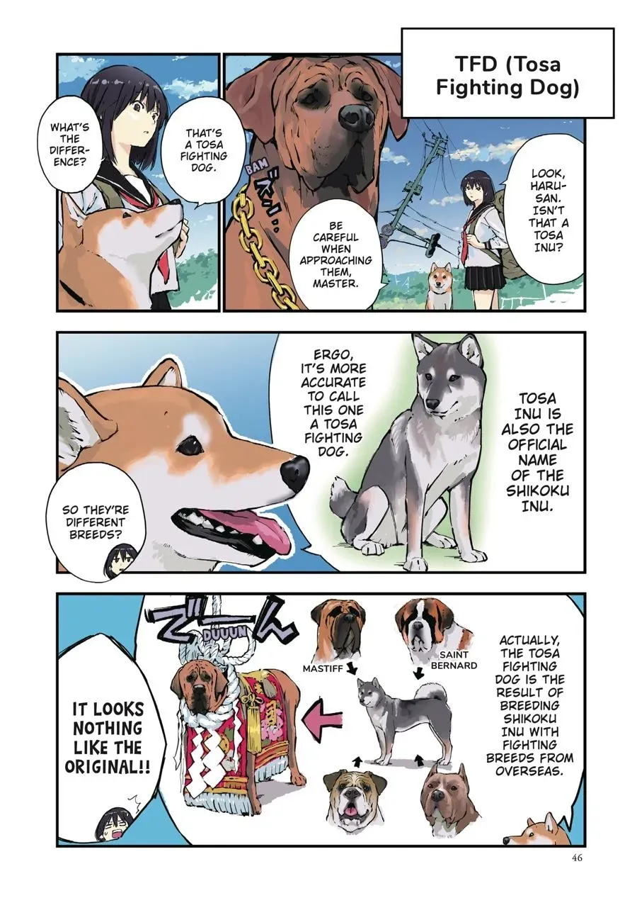 Doomsday with My Dog Chapter 32 page 2 - 