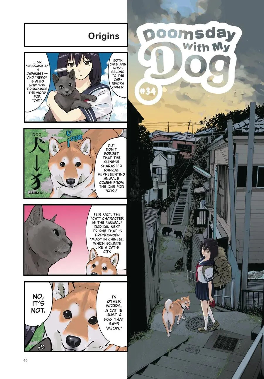 Doomsday with My Dog Chapter 34 page 1 - 
