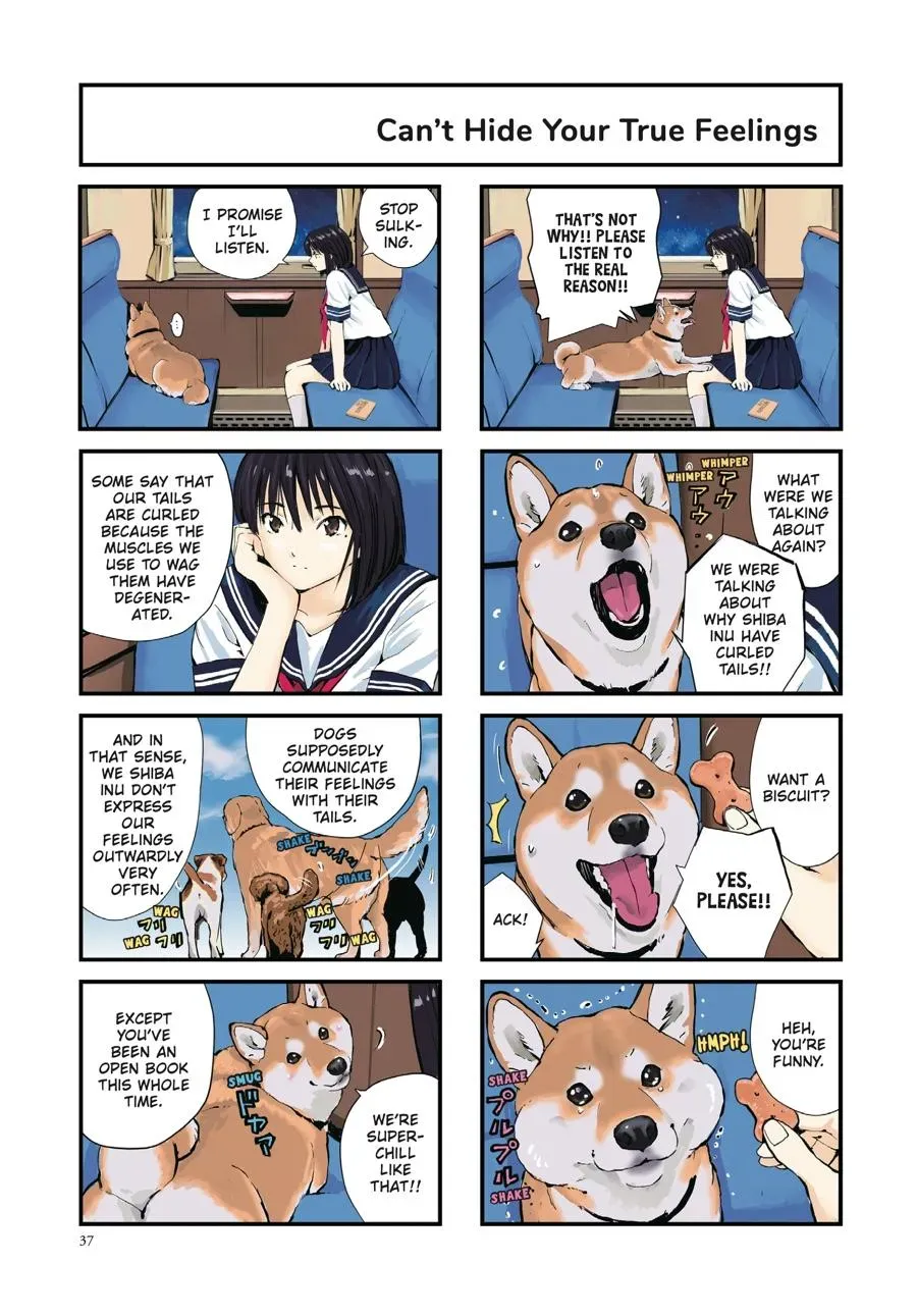 Doomsday with My Dog Chapter 39 page 3 - 