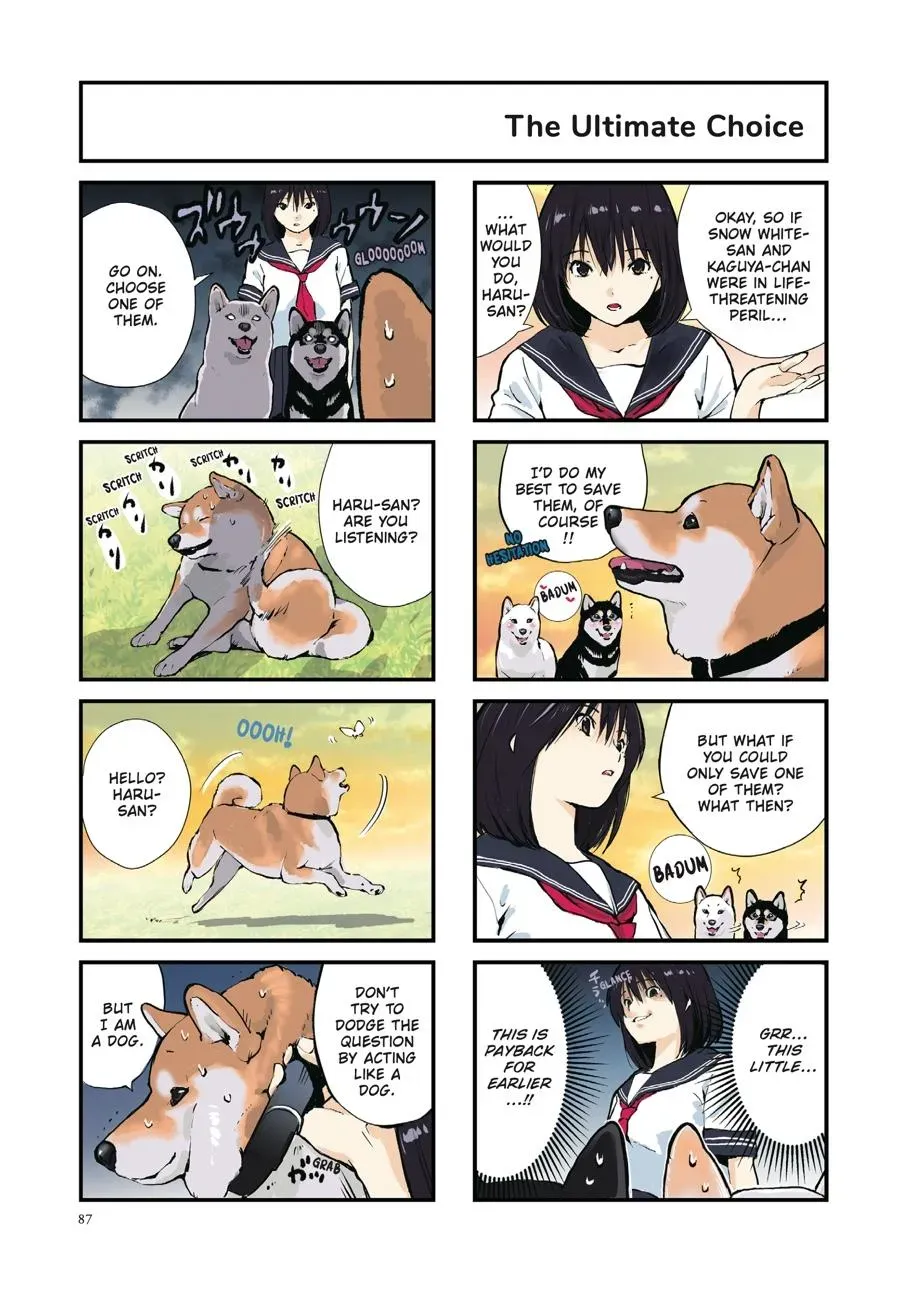 Doomsday with My Dog Chapter 43 page 3 - 