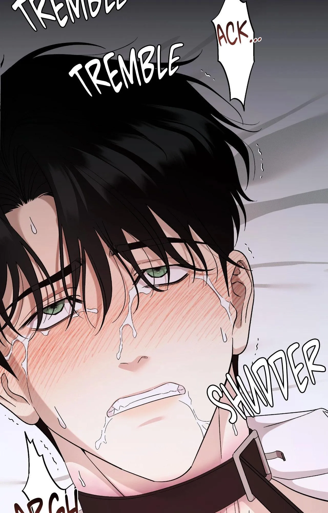 Dr. Agatho Report Chapter 27 page 17 - 