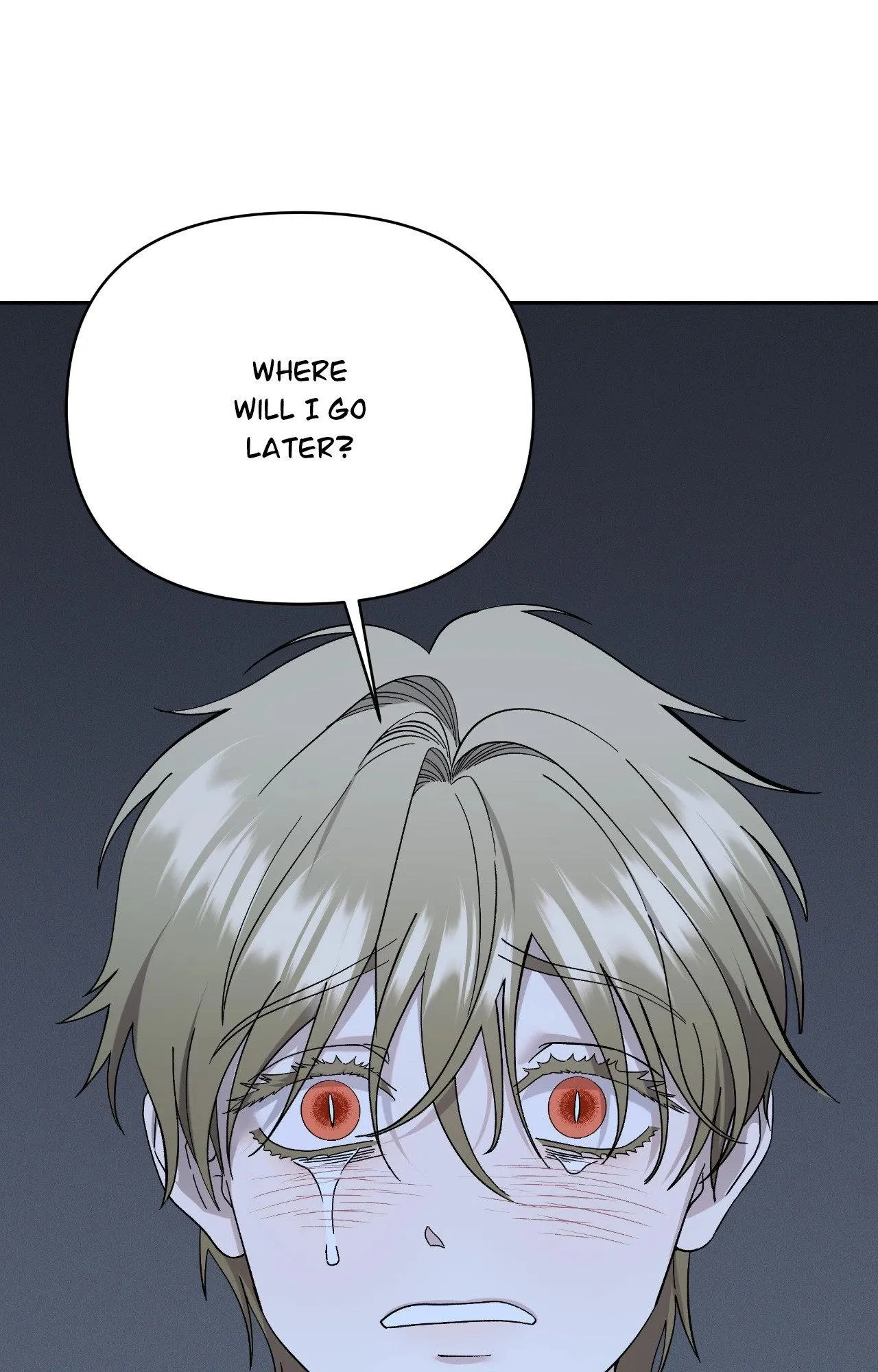Dr. Agatho Report Chapter 27 page 71 - 