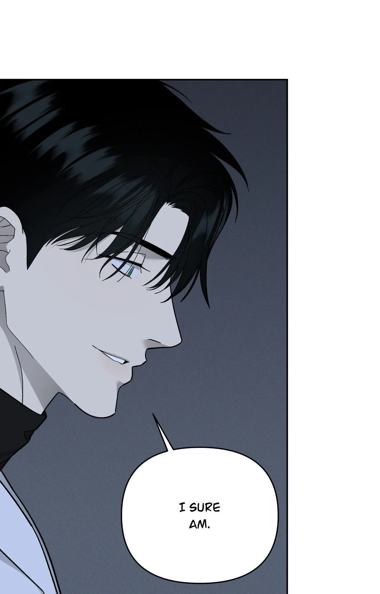 Dr. Agatho Report Chapter 27 page 91 - 
