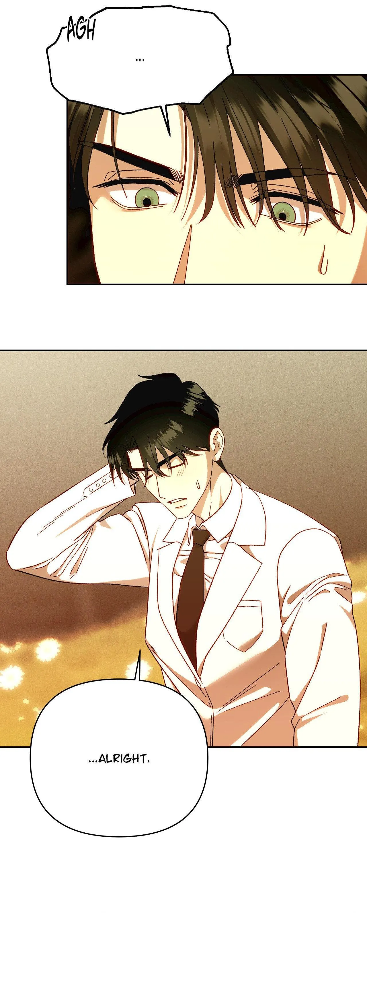 Dr. Agatho Report Chapter 28 page 66 - 
