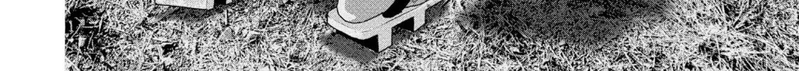 Dra-Q Chapter 1 page 64 - 