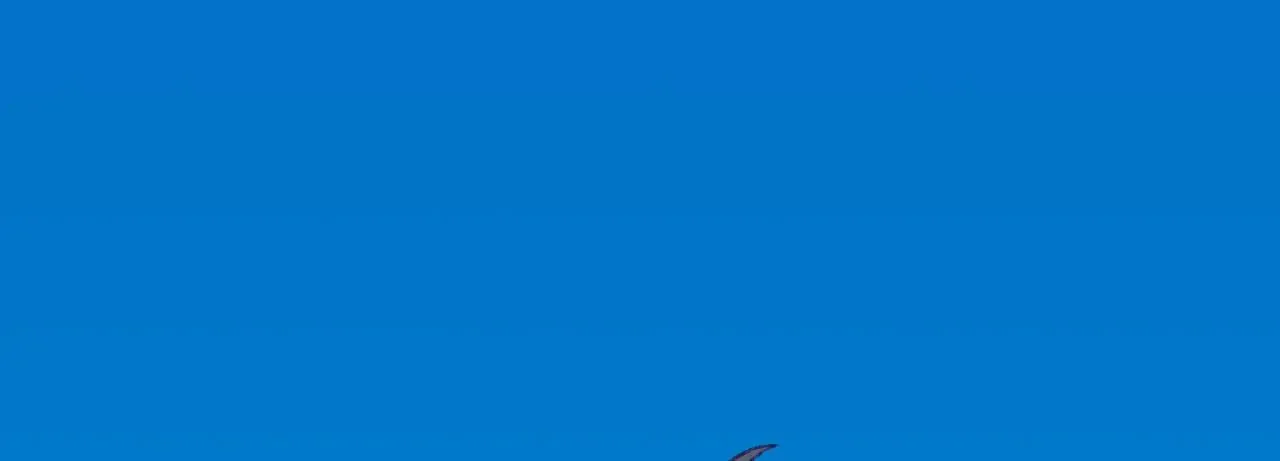 Dragon Baby Sitting Chapter 32 page 59 - 