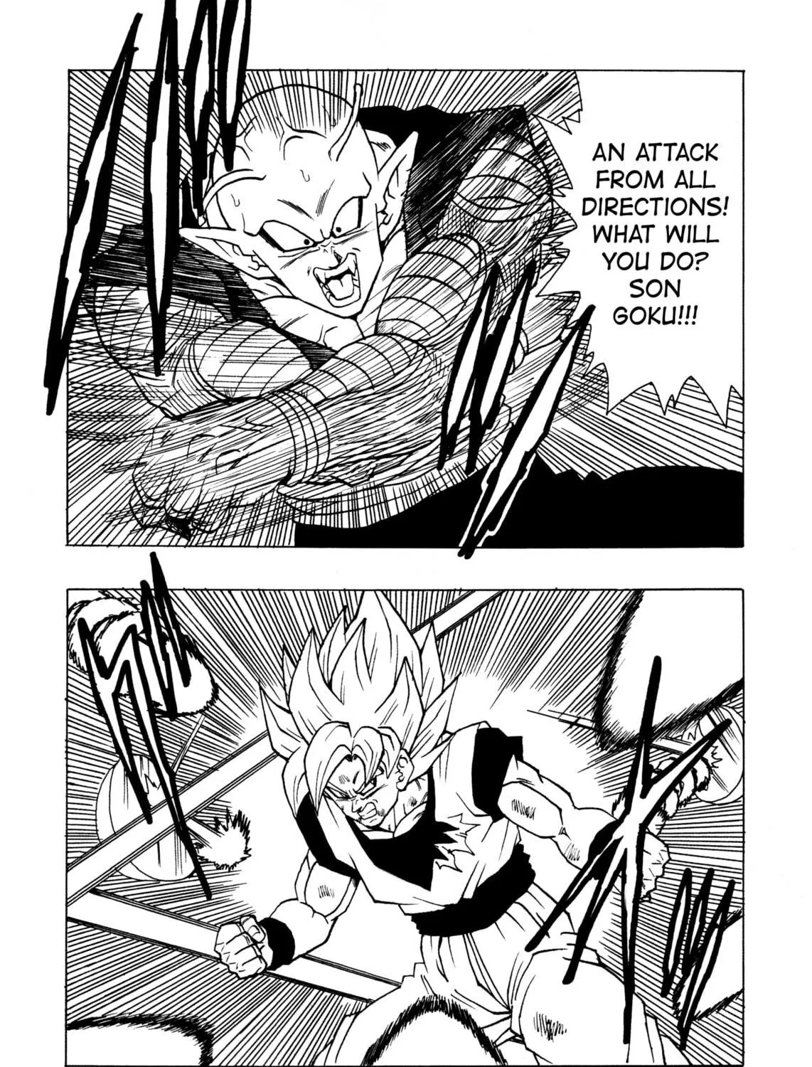 Dragon Ball After Chapter 13 page 13 - 