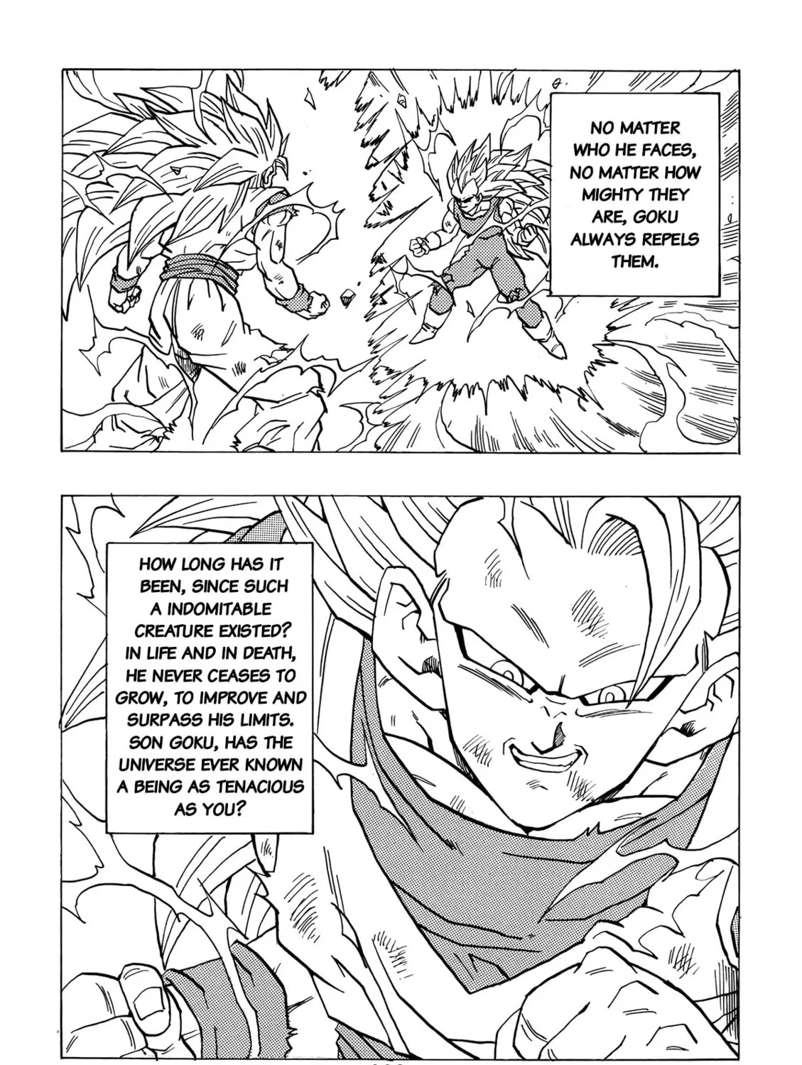 Dragon Ball After Chapter 4 page 13 - 