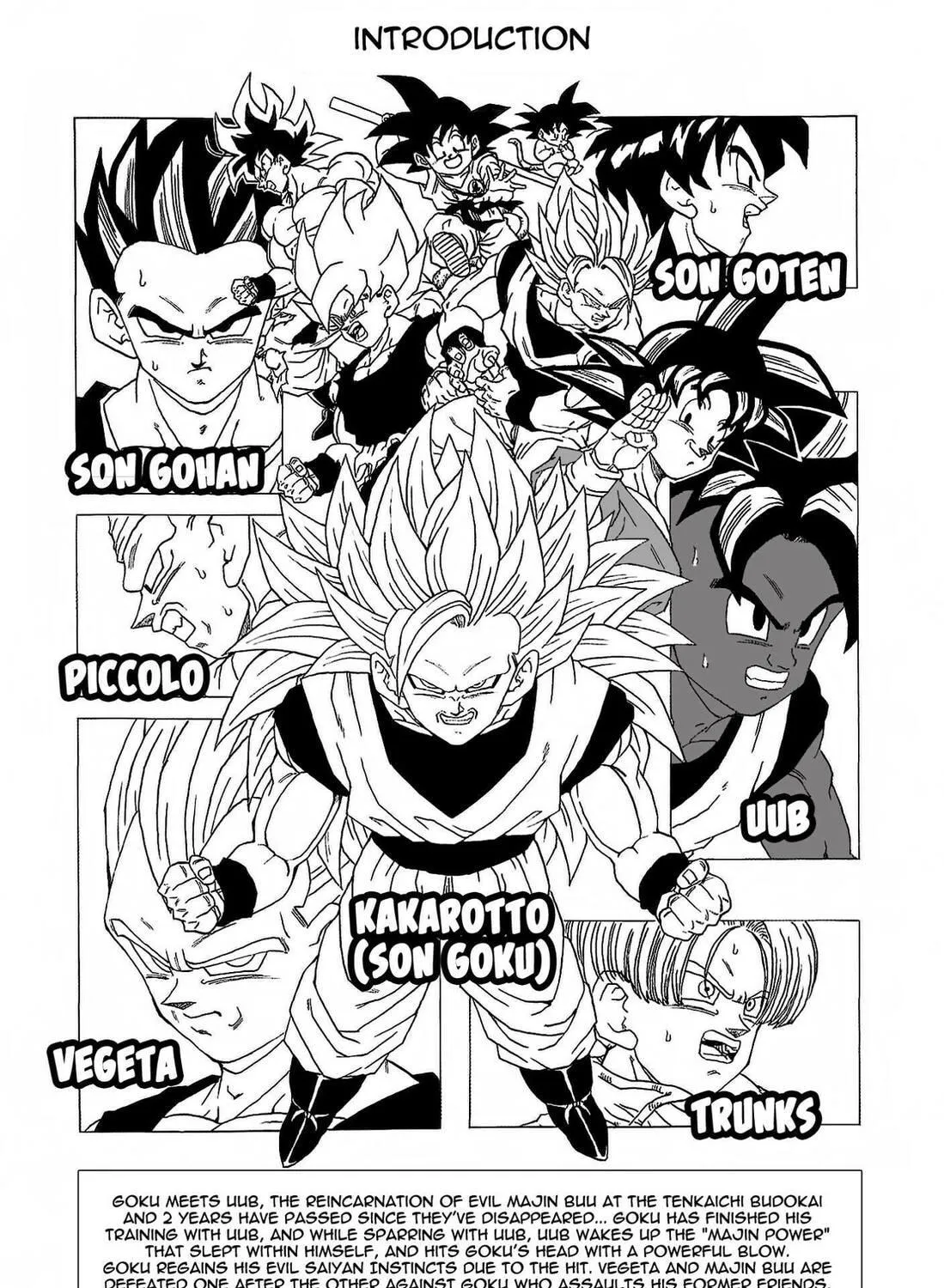 Dragon Ball After Chapter 8 page 5 - 