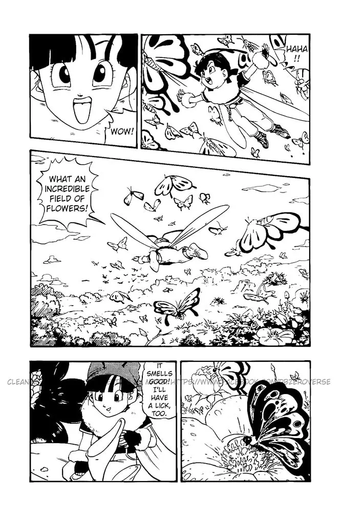 Dragon Ball GT Chapter 16 page 13 - 