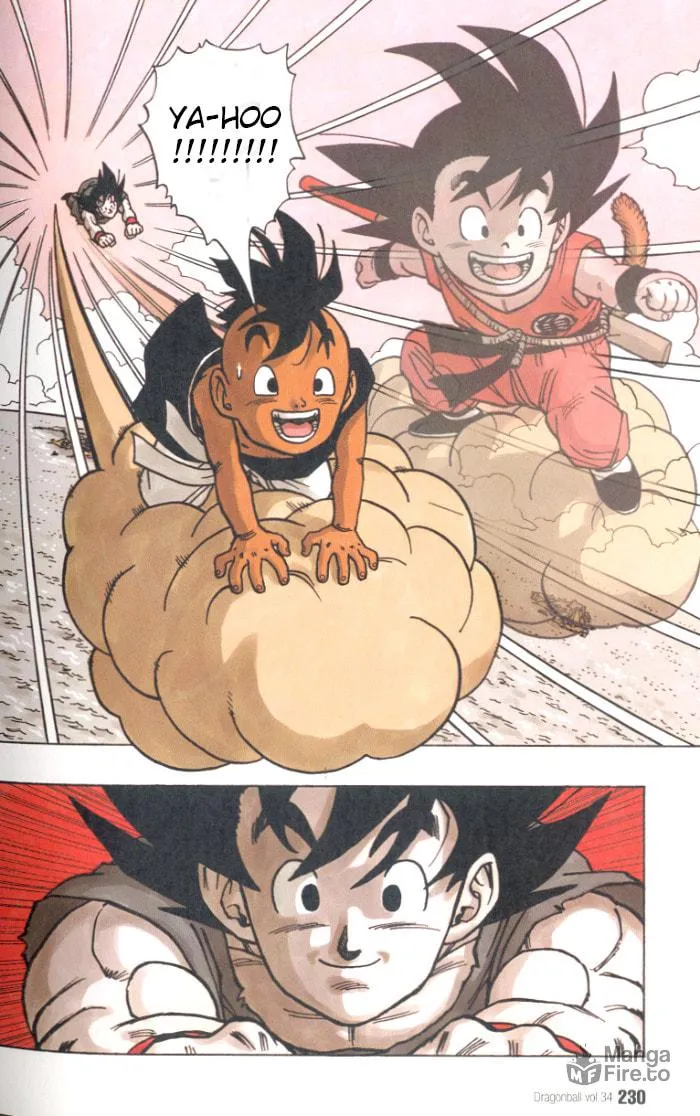 Dragon Ball Perfect Edition Chapter 519 page 22 - 