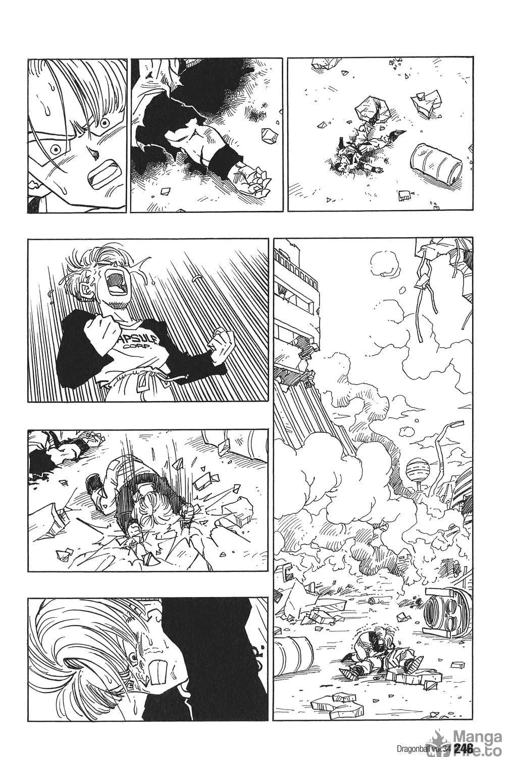 Dragon Ball Perfect Edition Chapter 519 page 49 - 