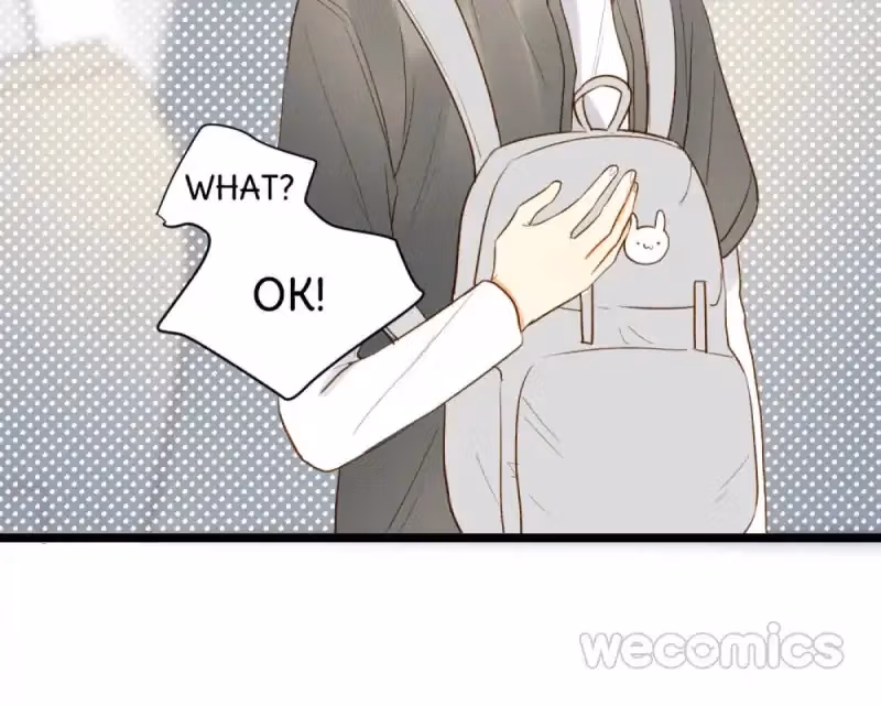 Dragon Boys' Love Affairs Chapter 11 page 21 - 