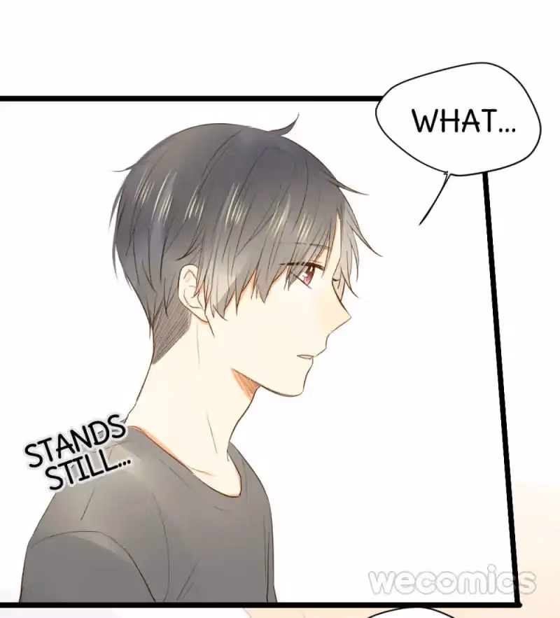 Dragon Boys' Love Affairs Chapter 14 page 51 - 