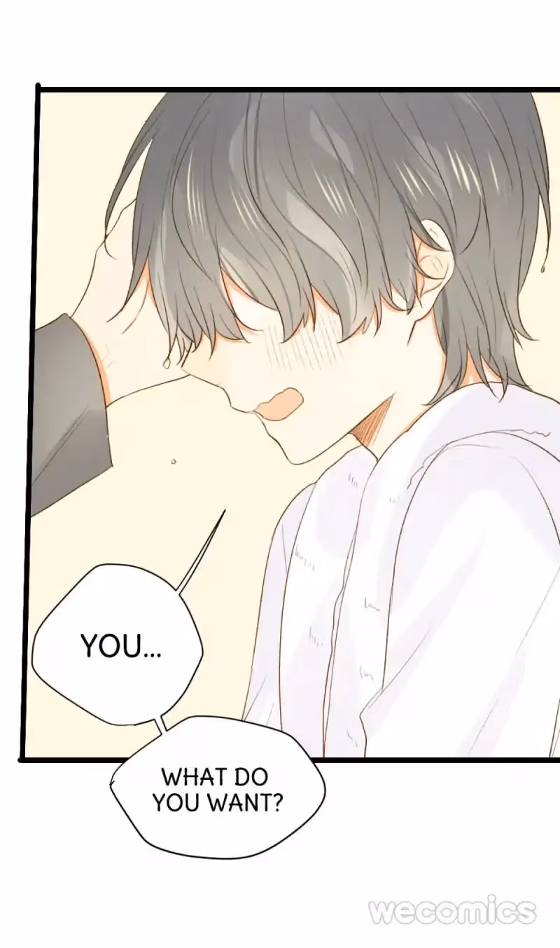 Dragon Boys' Love Affairs Chapter 14 page 55 - 