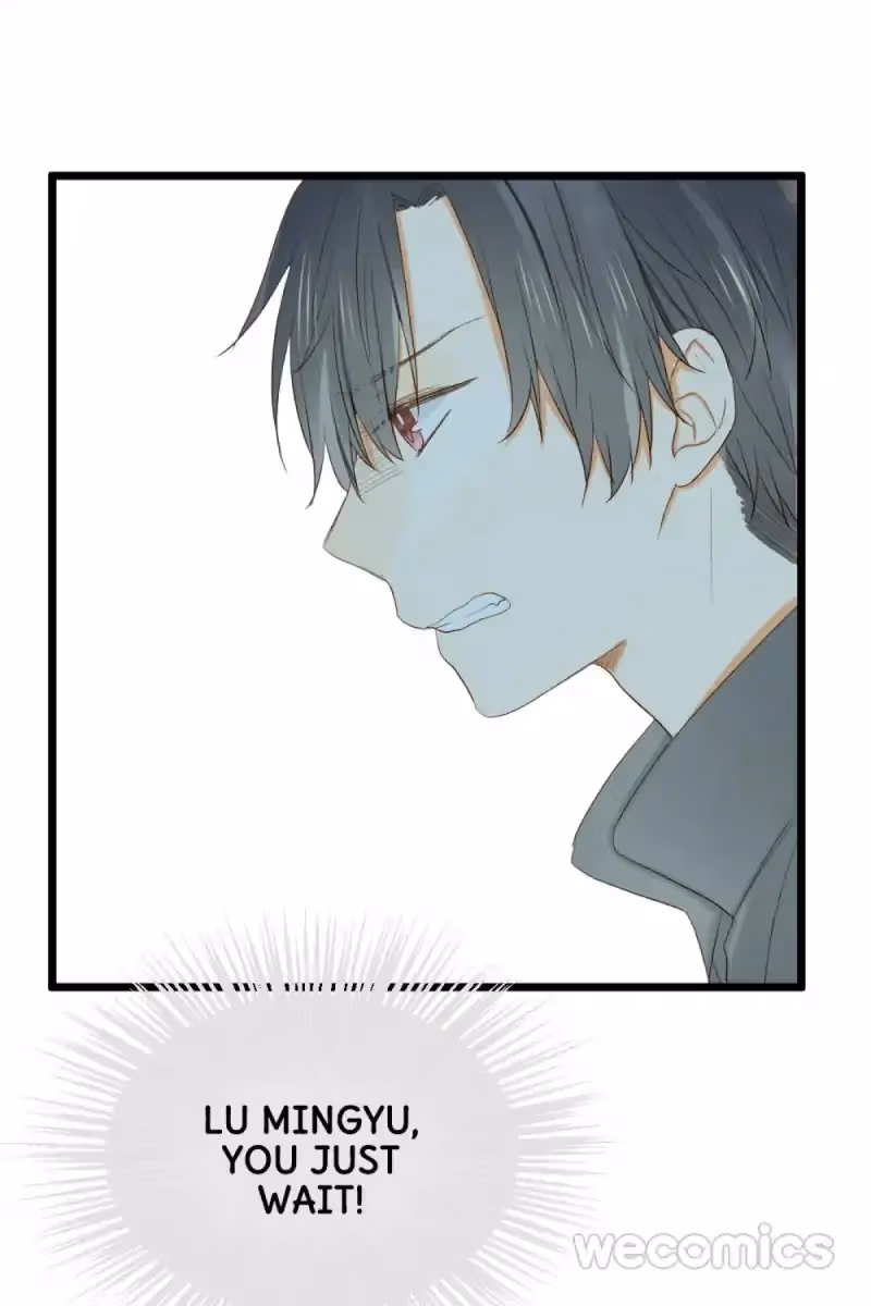 Dragon Boys' Love Affairs Chapter 16 page 52 - 
