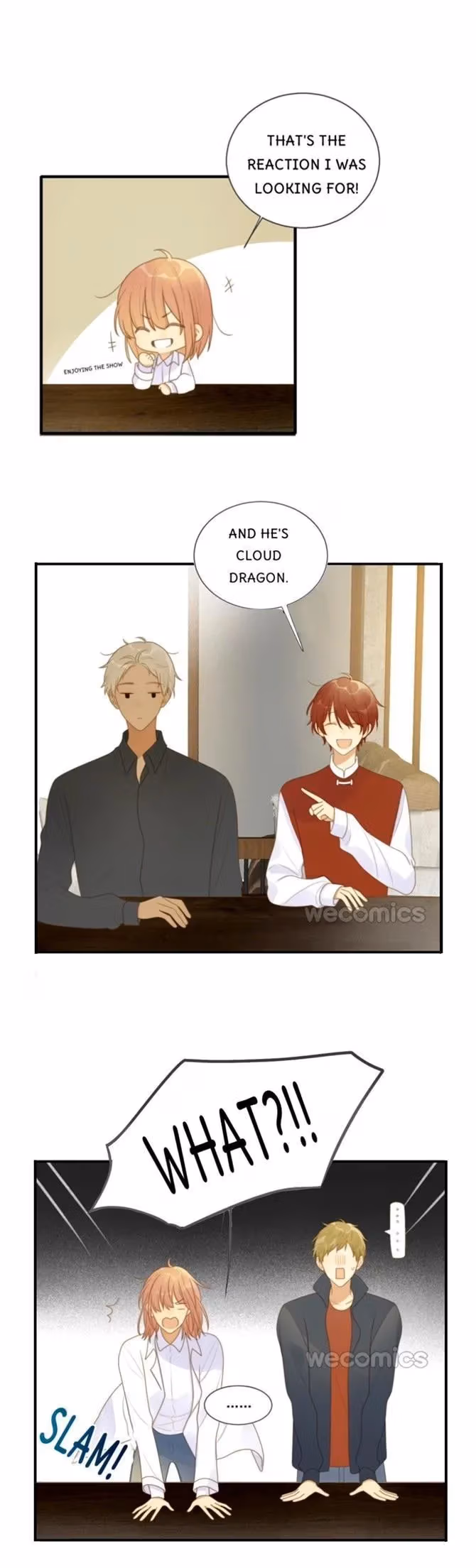 Dragon Boys' Love Affairs Chapter 179 page 14 - 