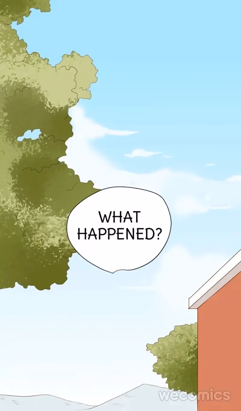 Dragon Boys' Love Affairs Chapter 20 page 14 - 