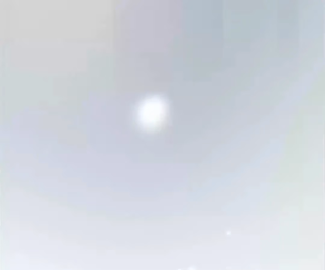 Dragon Boys' Love Affairs Chapter 200 page 69 - 