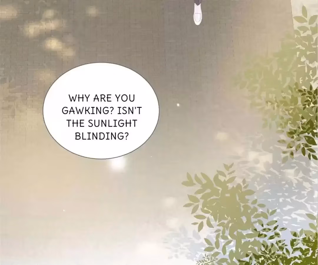 Dragon Boys' Love Affairs Chapter 200 page 73 - 