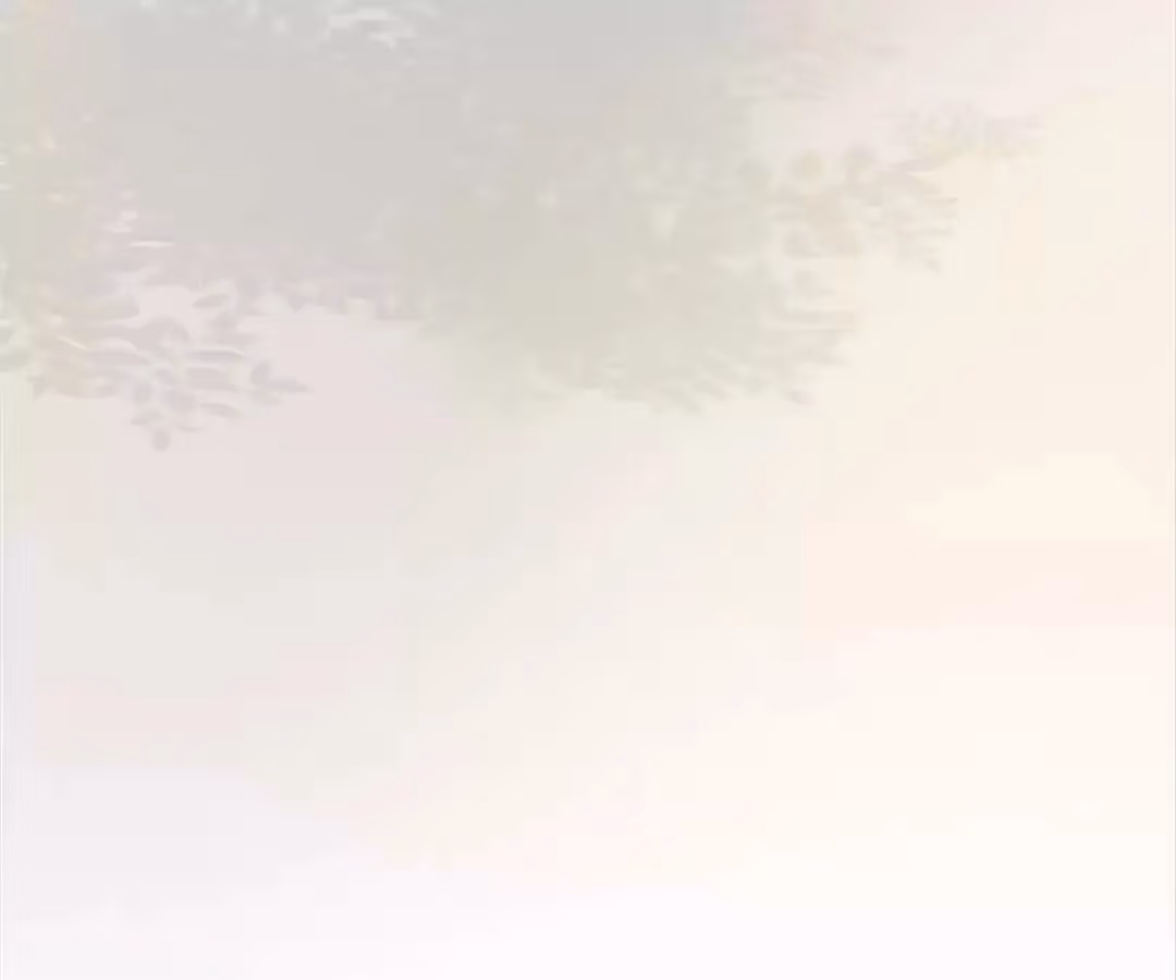 Dragon Boys' Love Affairs Chapter 201 page 68 - 