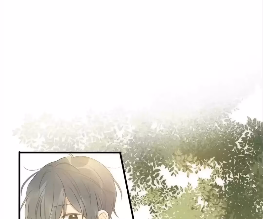 Dragon Boys' Love Affairs Chapter 204 page 39 - 