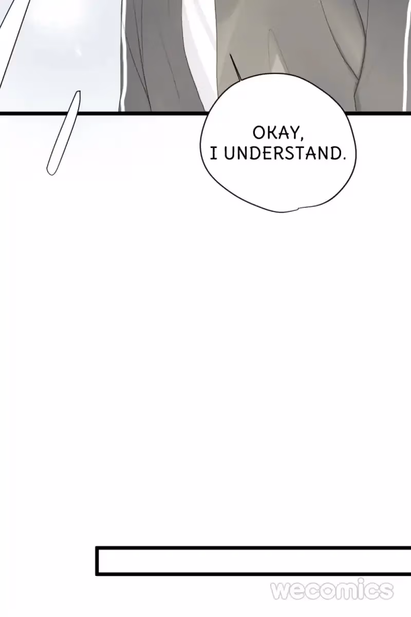 Dragon Boys' Love Affairs Chapter 21 page 41 - 