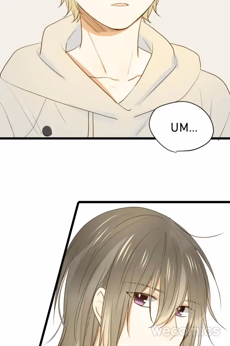 Dragon Boys' Love Affairs Chapter 25 page 41 - 