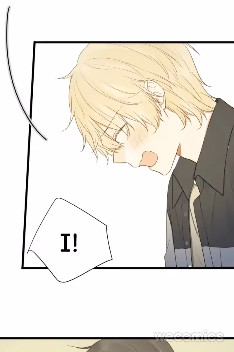 Dragon Boys' Love Affairs Chapter 30 page 37 - 