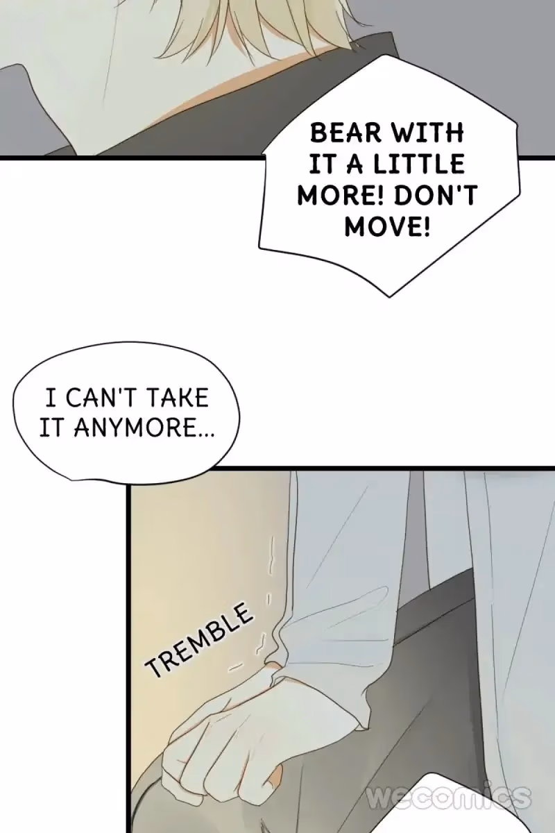 Dragon Boys' Love Affairs Chapter 32 page 17 - 