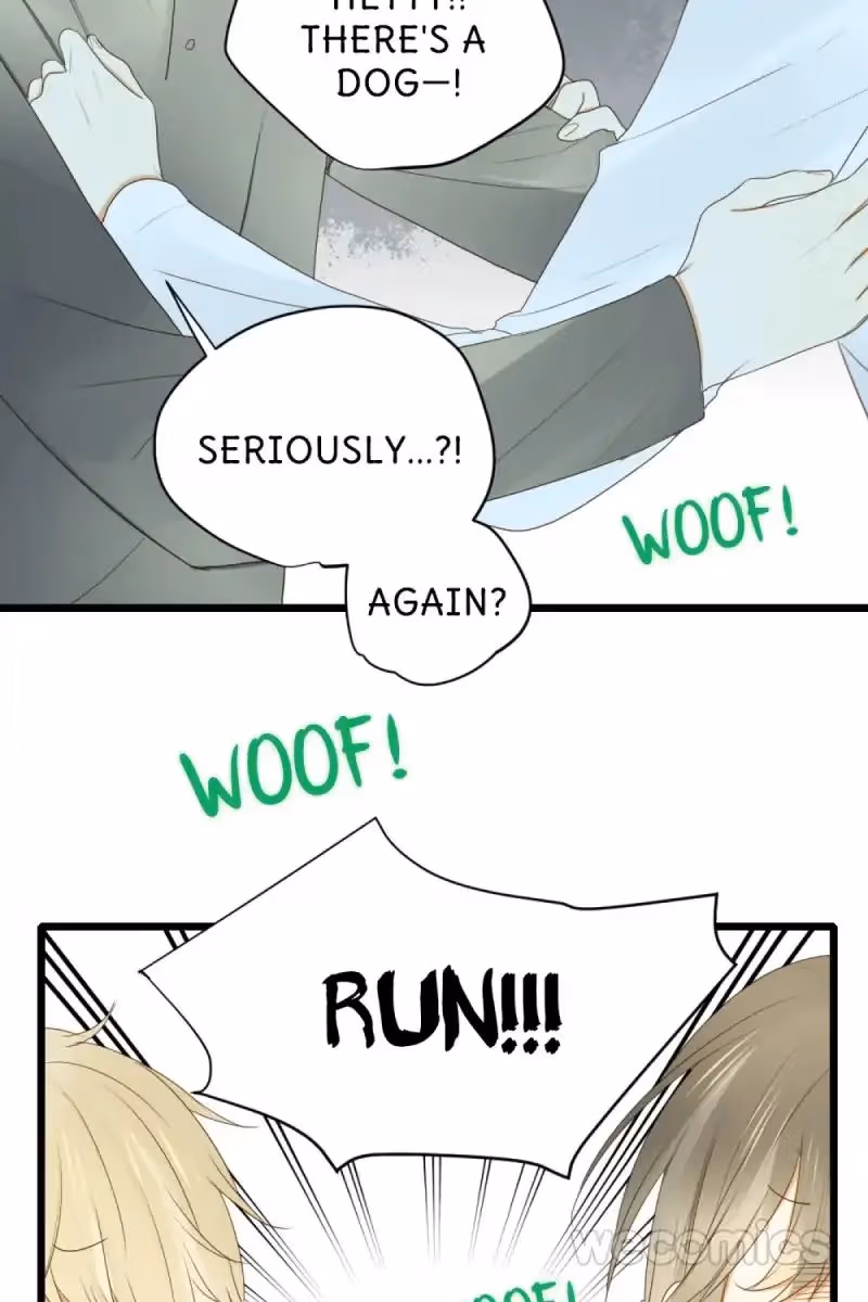 Dragon Boys' Love Affairs Chapter 34 page 13 - 