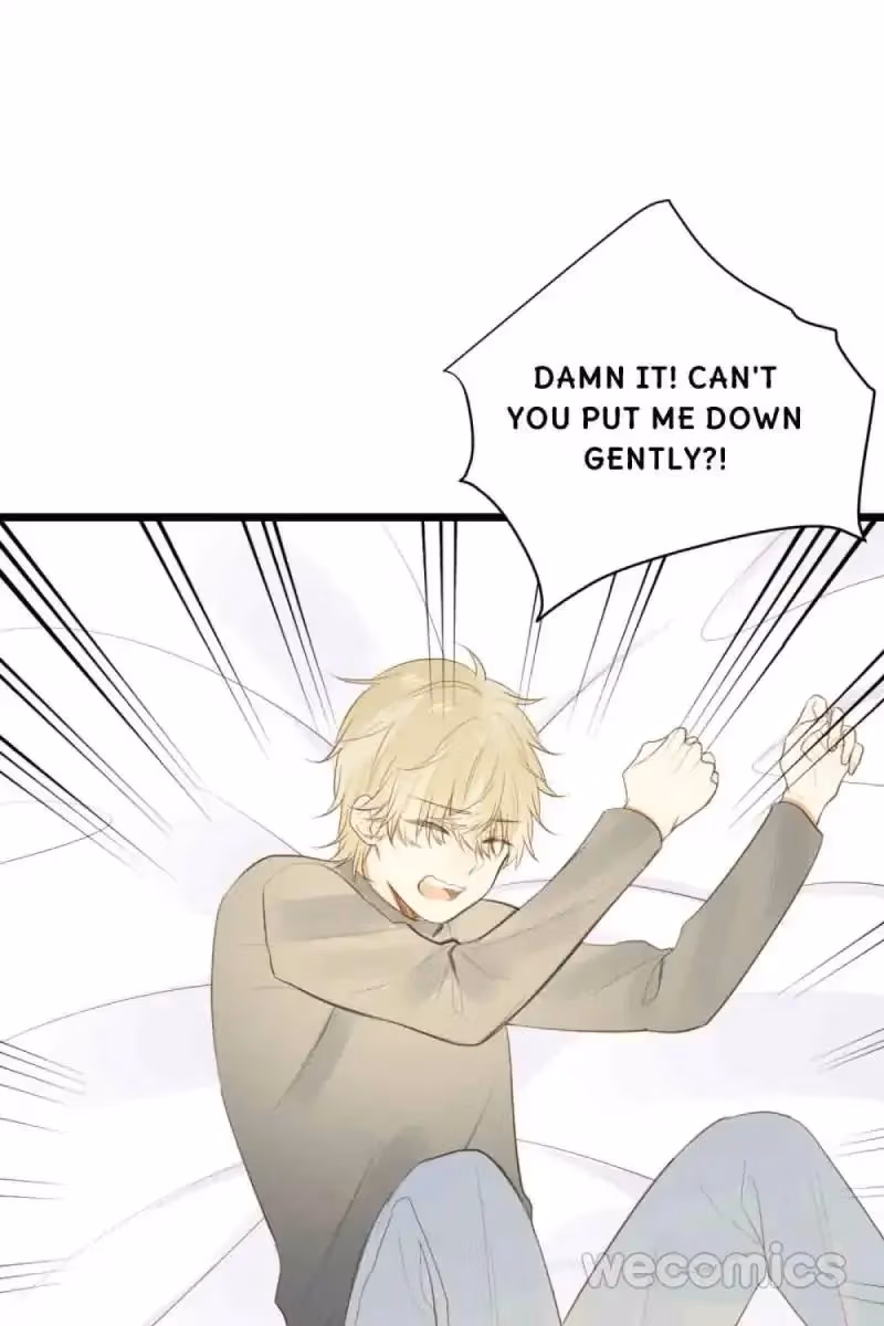 Dragon Boys' Love Affairs Chapter 39 page 36 - 