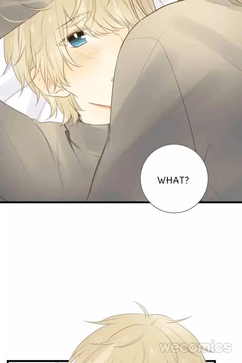 Dragon Boys' Love Affairs Chapter 41 page 2 - 