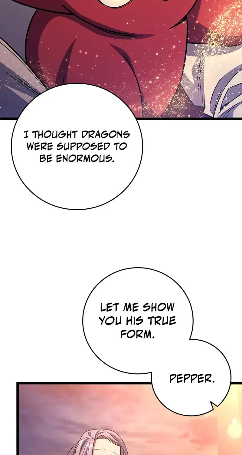 Dragon-Devouring Mage Chapter 105 page 99 - 