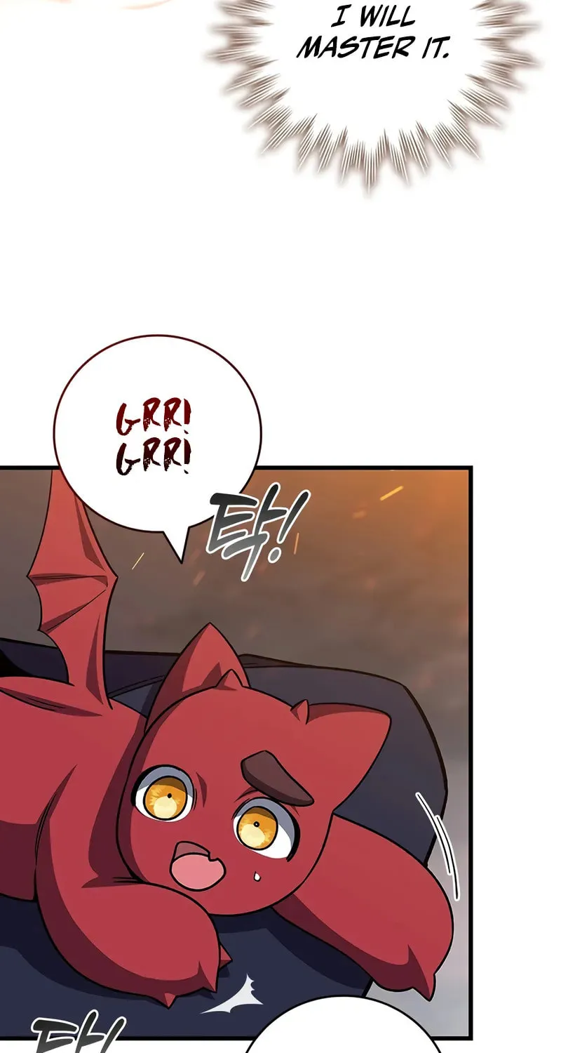 Dragon-Devouring Mage Chapter 106 page 72 - 
