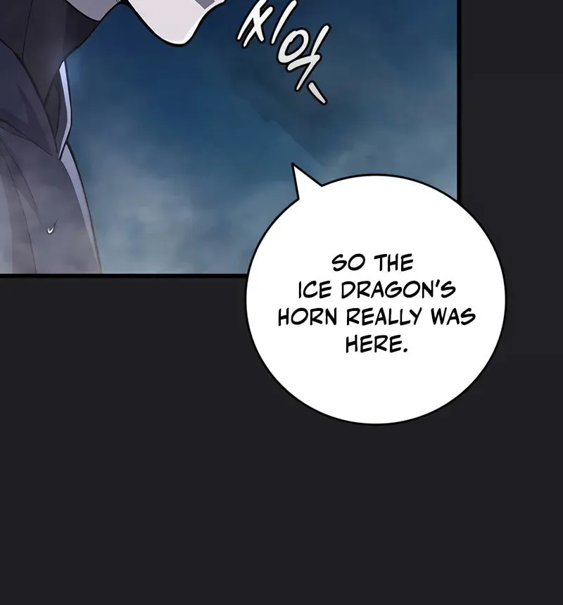 Dragon-Devouring Mage Chapter 107 page 47 - 