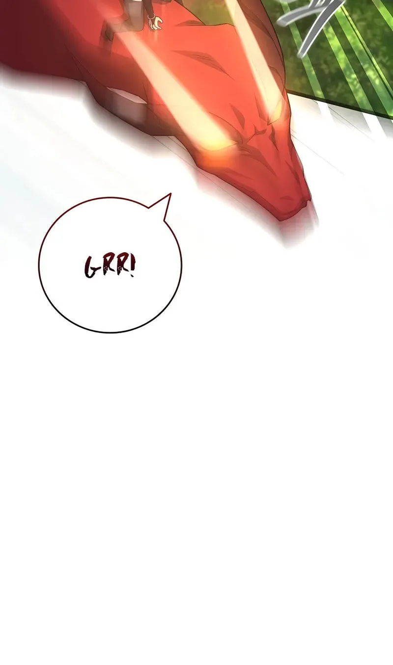 Dragon-Devouring Mage Chapter 111 page 87 - 