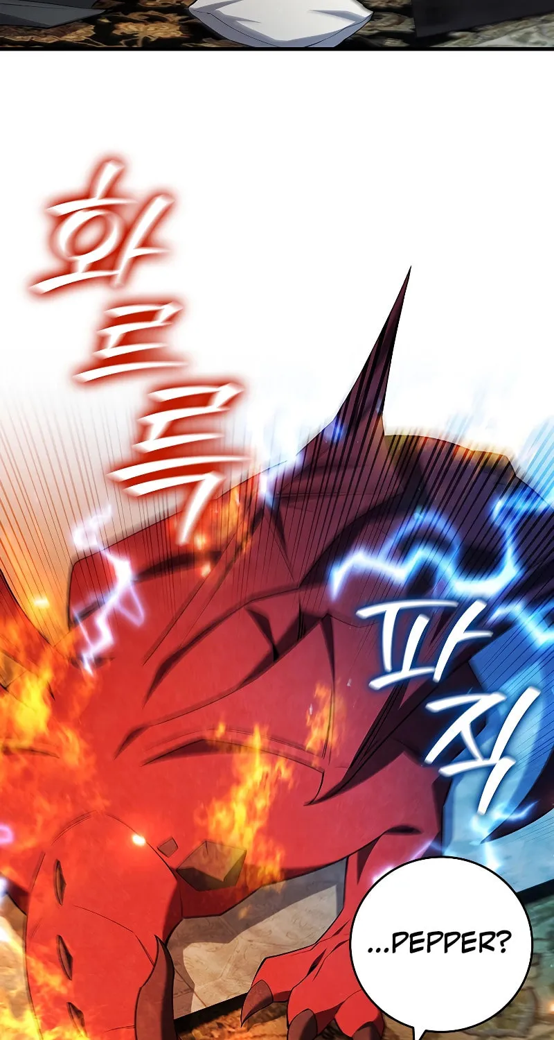 Dragon-Devouring Mage Chapter 54 page 13 - 