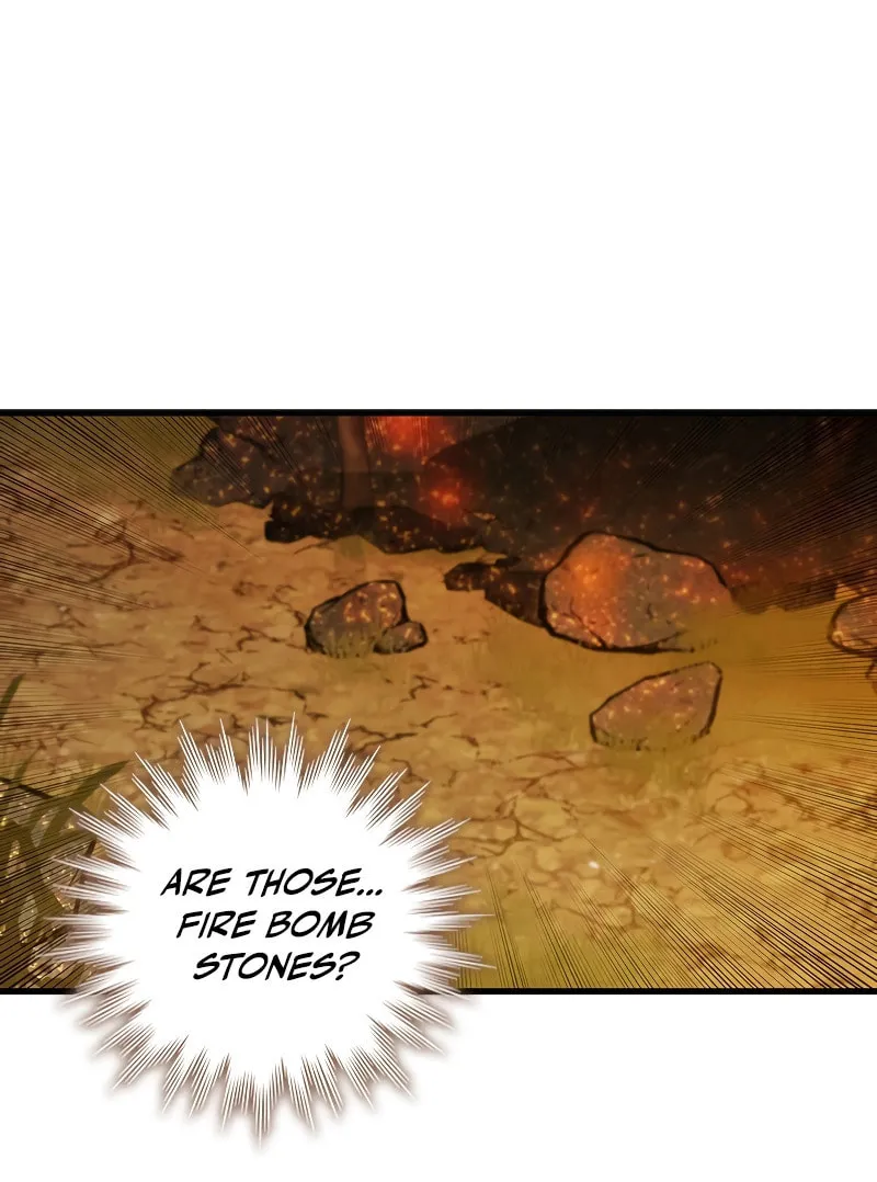 Dragon-Devouring Mage Chapter 55 page 70 - 