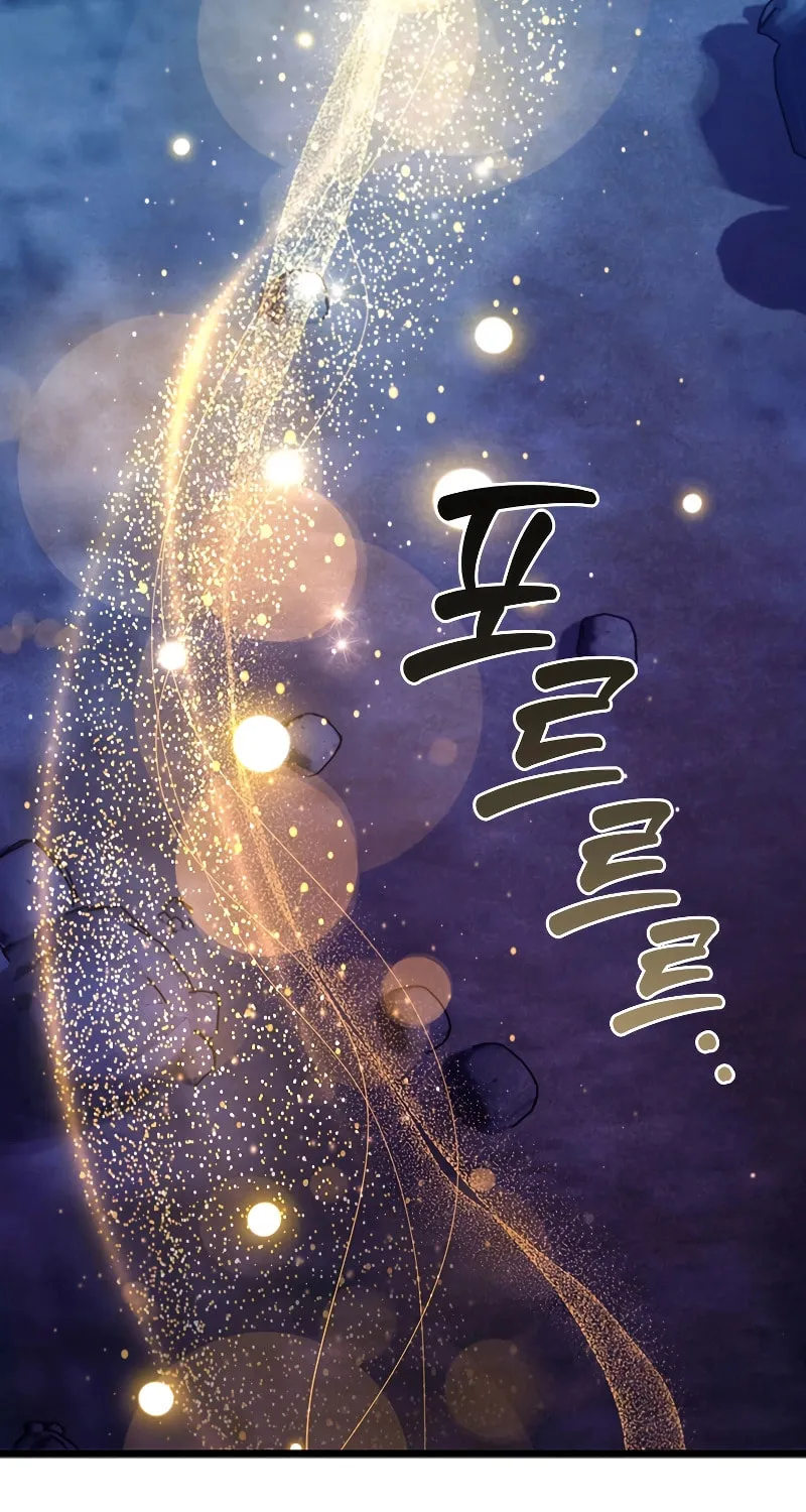 Dragon-Devouring Mage Chapter 72 page 67 - 