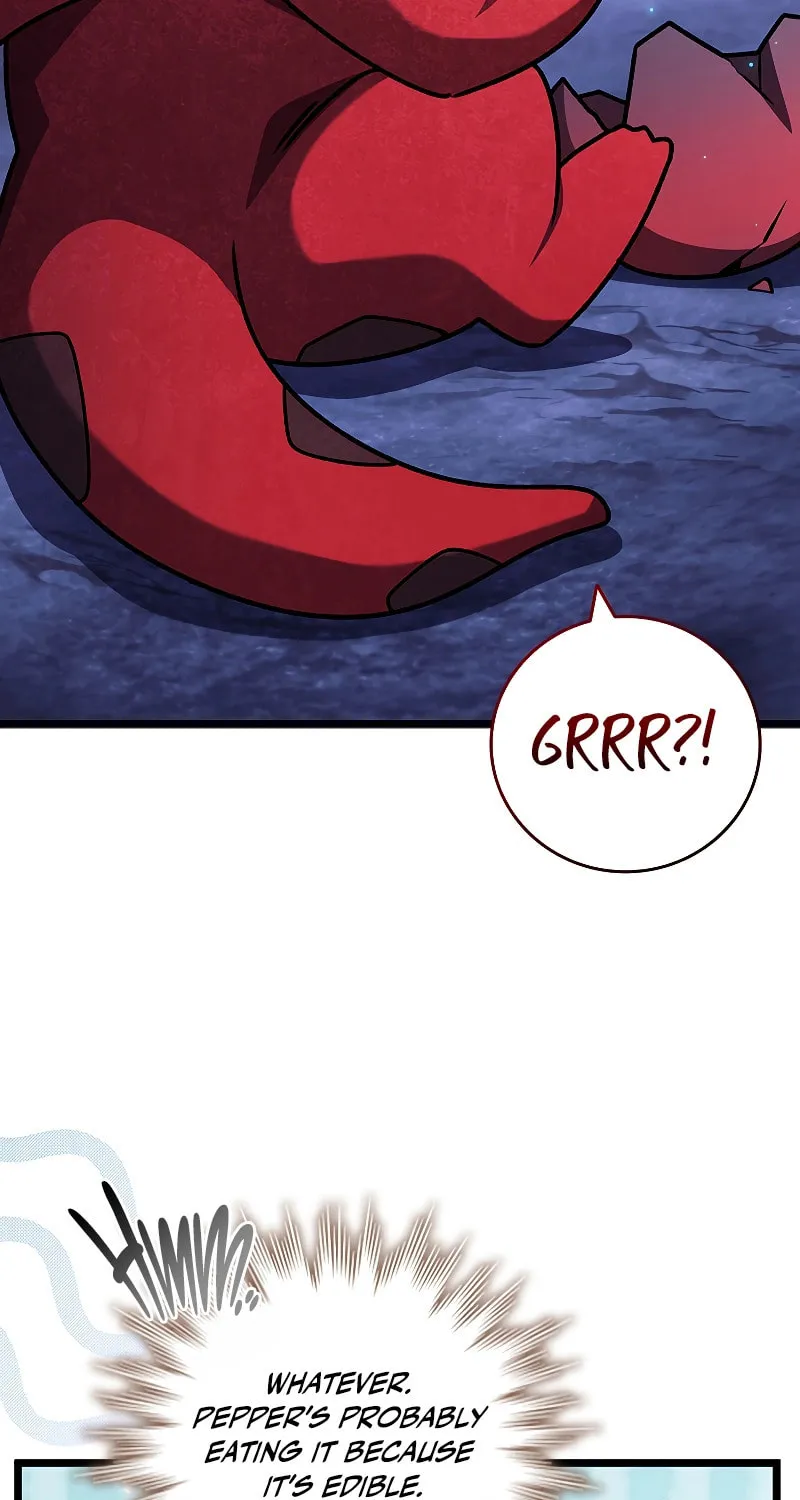 Dragon-Devouring Mage Chapter 73 page 43 - 