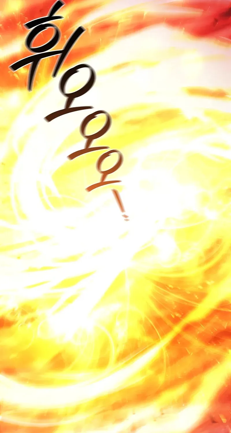 Dragon-Devouring Mage Chapter 81 page 80 - 